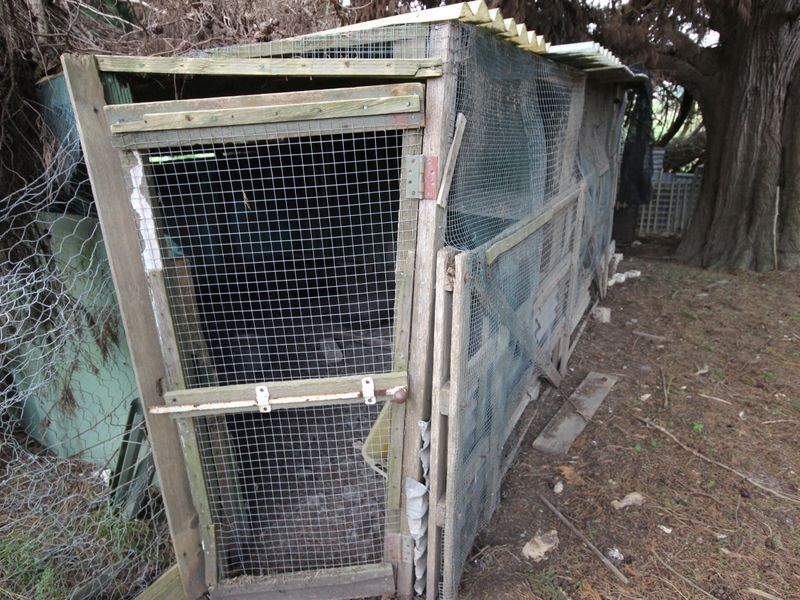 525 Dalyston Glen Forbes Road, Wonthaggi VIC 3995