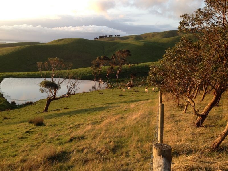 260 McDowell Road, Woolamai VIC 3995