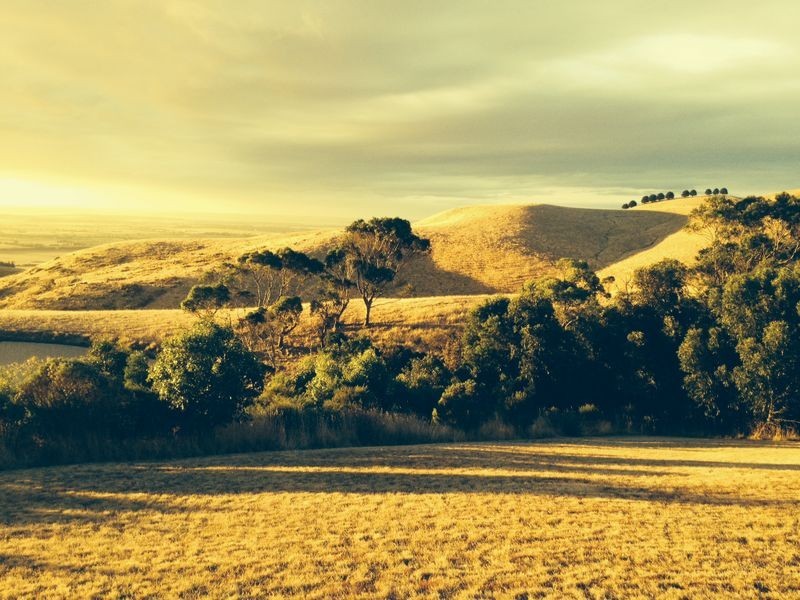 260 McDowell Road, Woolamai VIC 3995