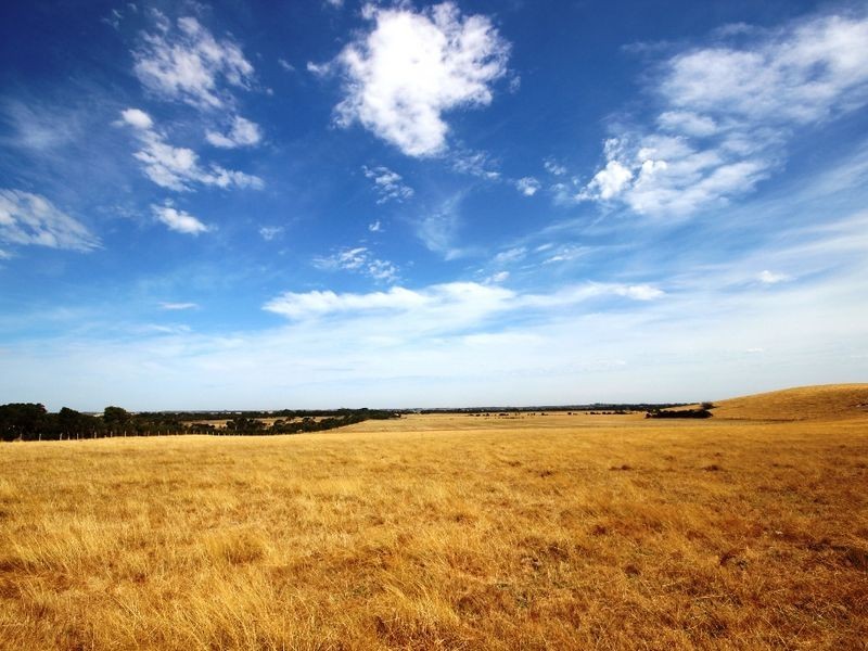 2566 Korumburra – Wonthaggi Road, Wonthaggi VIC 3995