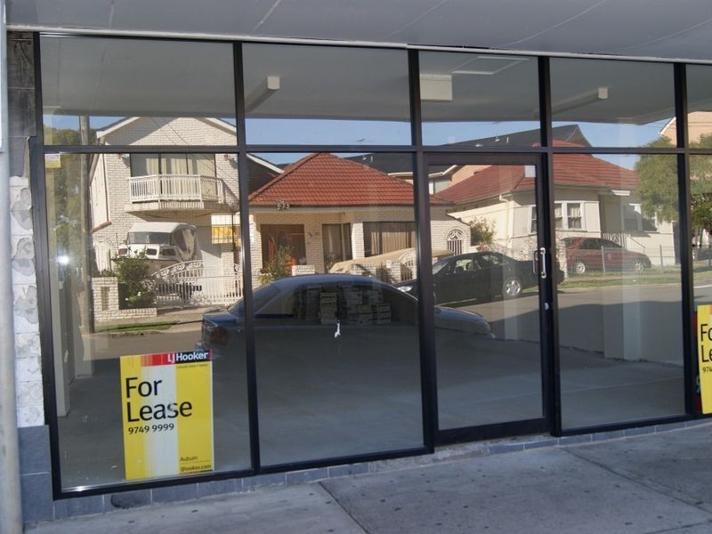 25 Burke Ave, Berala NSW 2141