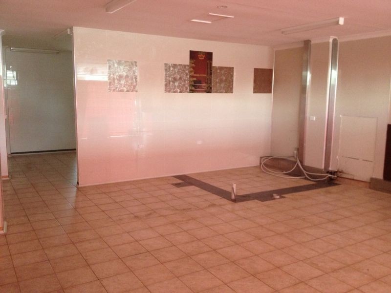 25 Burke Ave, Berala NSW 2141