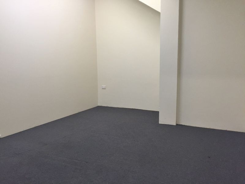 29c Crawford St, Berala NSW 2141