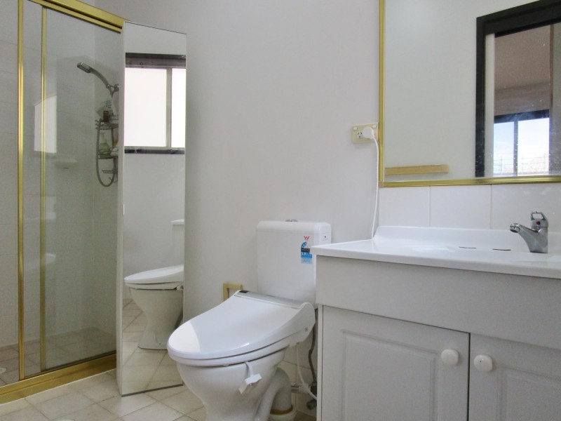 13 Beaumont St, Auburn NSW 2144