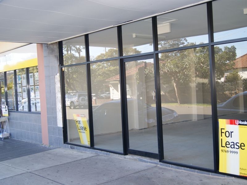 25 Burke Ave, Berala NSW 2141