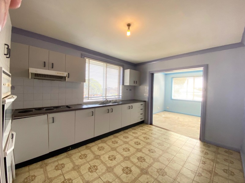 42a Pine Rd, Auburn NSW 2144