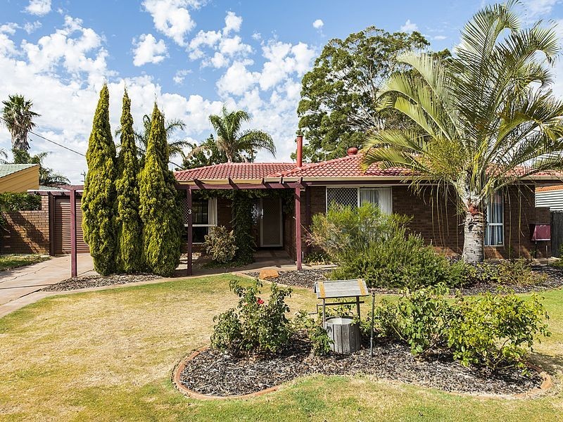 3 Hovea Place, Maddington WA 6109