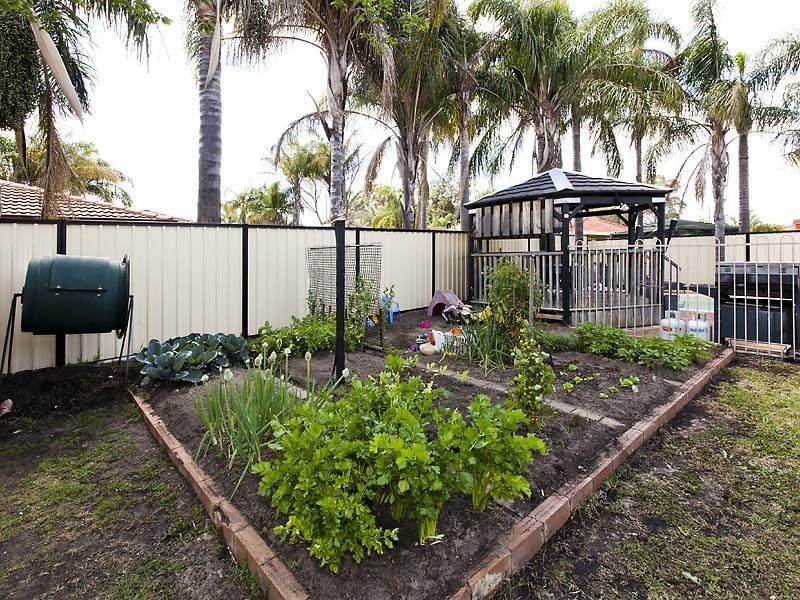 38 Chevalier Way, Thornlie WA 6108