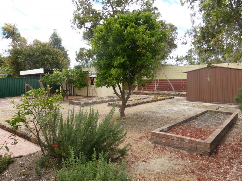 37 Latimer Way, Langford WA 6147