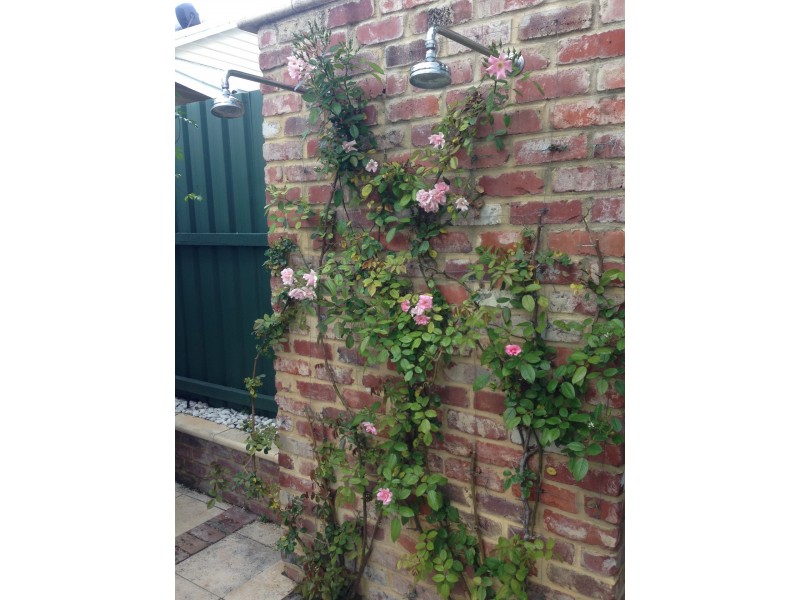 11 Willis Street, East Victoria Park WA 6101