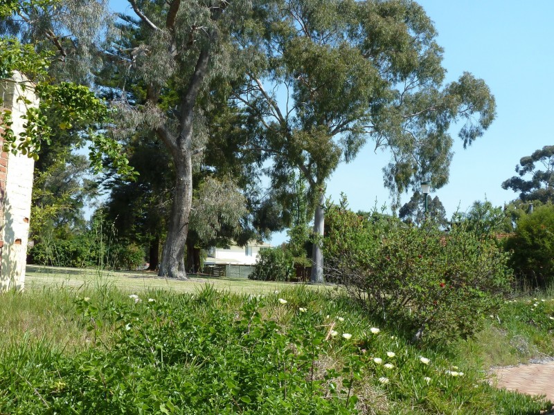 22 Hume Road, Thornlie WA 6108
