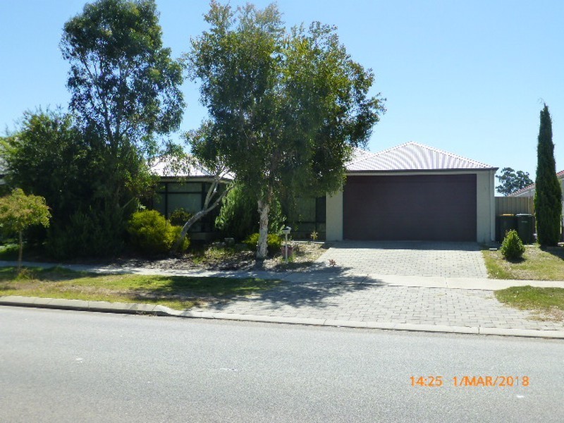 81 Harrisdale Drive, Harrisdale WA 6112