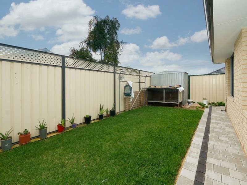 12 Juncea Way, Hammond Park WA 6164