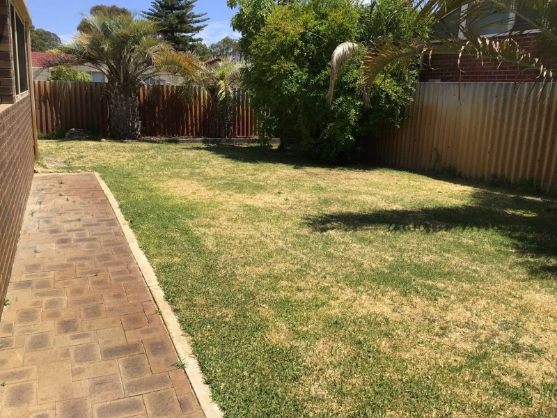 2 Osprey Way, Thornlie WA 6108