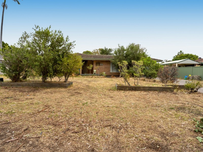 31 Aldington Street, Maddington WA 6109