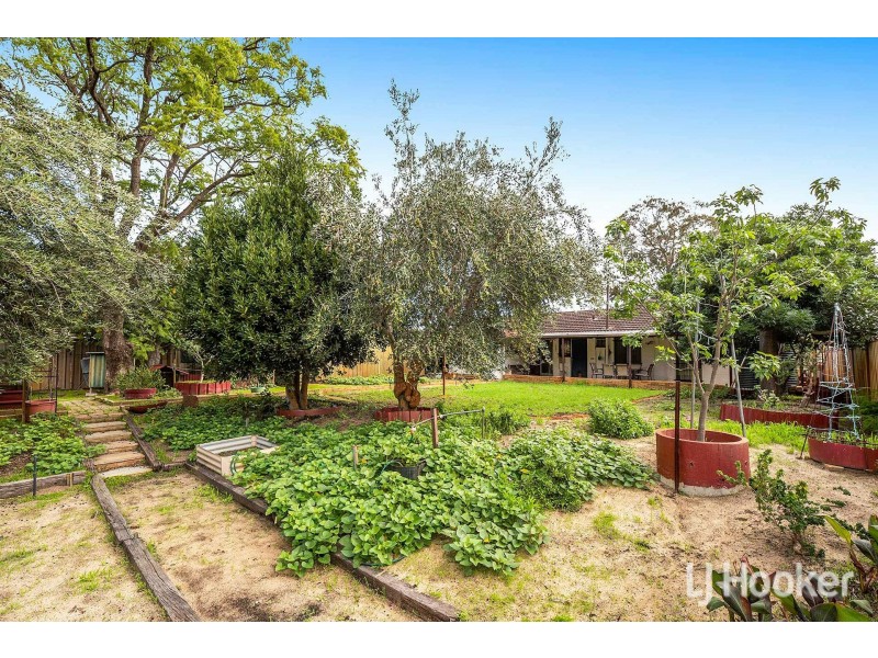 37 Helm Street, Maddington WA 6109