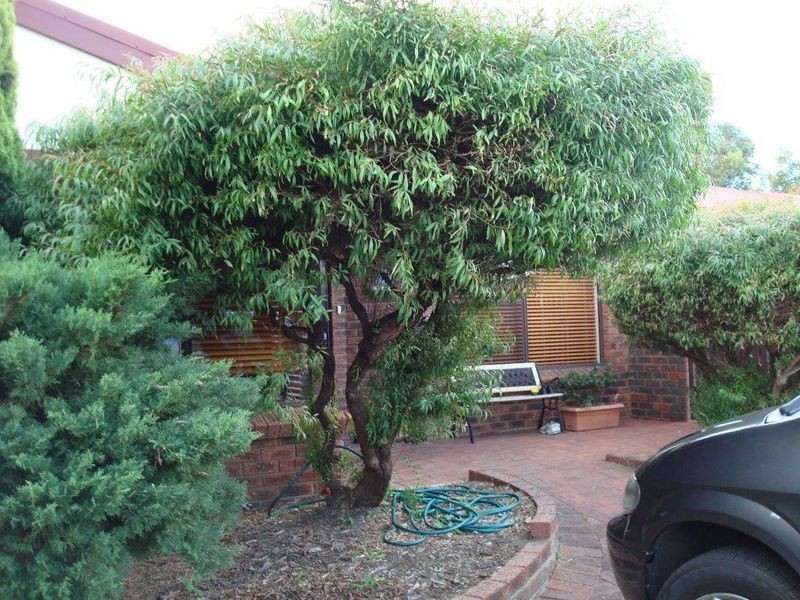 50 Fountain Way, Huntingdale WA 6110