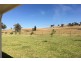 Woodstock NSW 2793