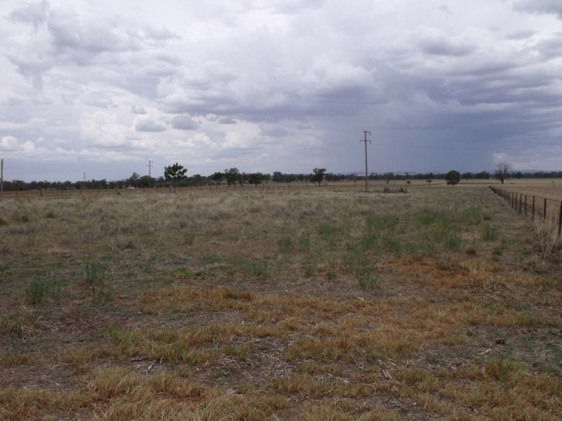 Cowra NSW 2794