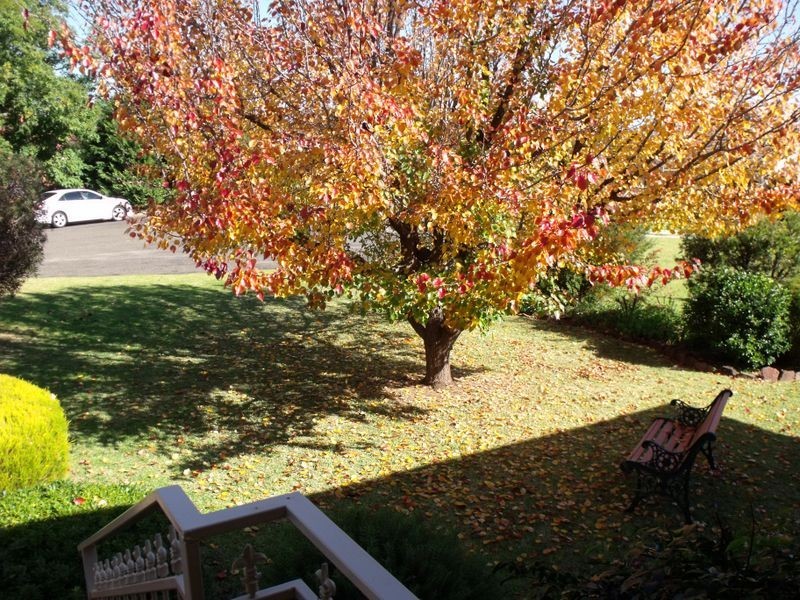20 Nambucca Circuit, Cowra NSW 2794