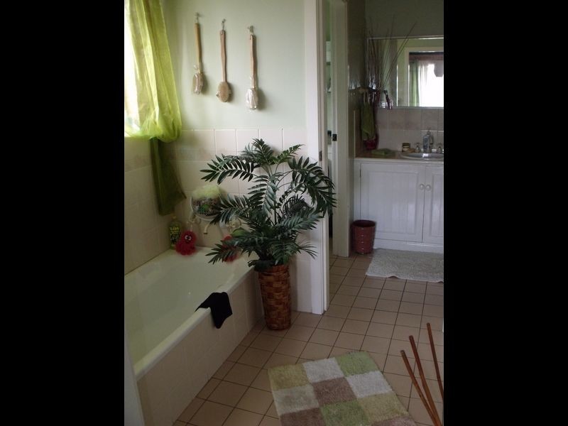 24 Evans Street, Cowra NSW 2794