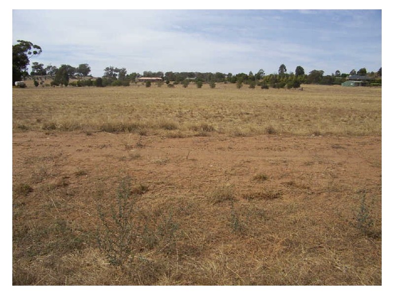 15 Shepherd Avenue, Cowra NSW 2794