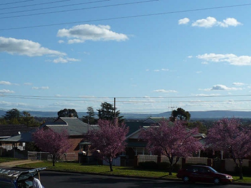 47 Lachlan Street, Cowra NSW 2794
