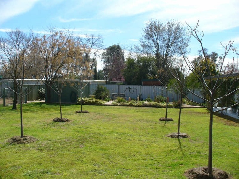 40 Dawson Drive, Cowra NSW 2794