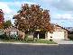 13 Grevillea Close, Cowra NSW 2794