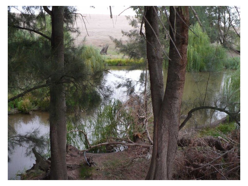 121 Vernon Drive, Cowra NSW 2794