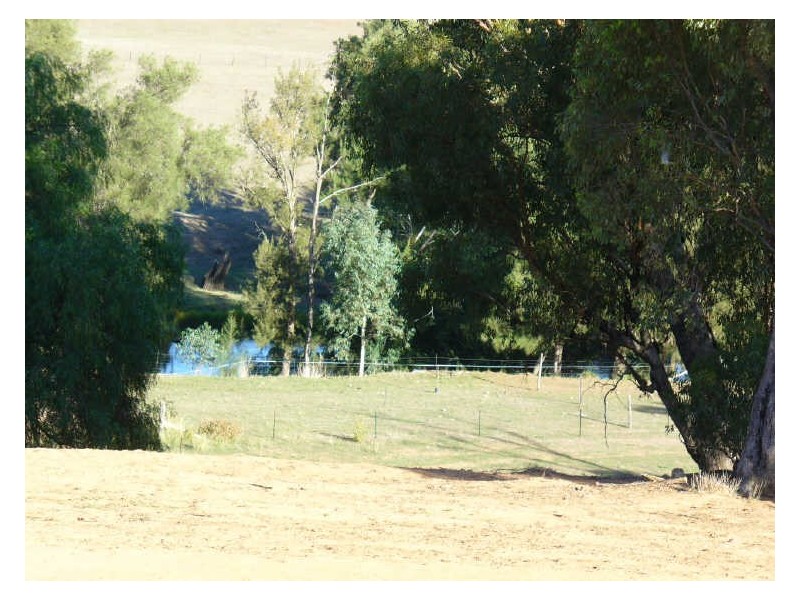 121 Vernon Drive, Cowra NSW 2794