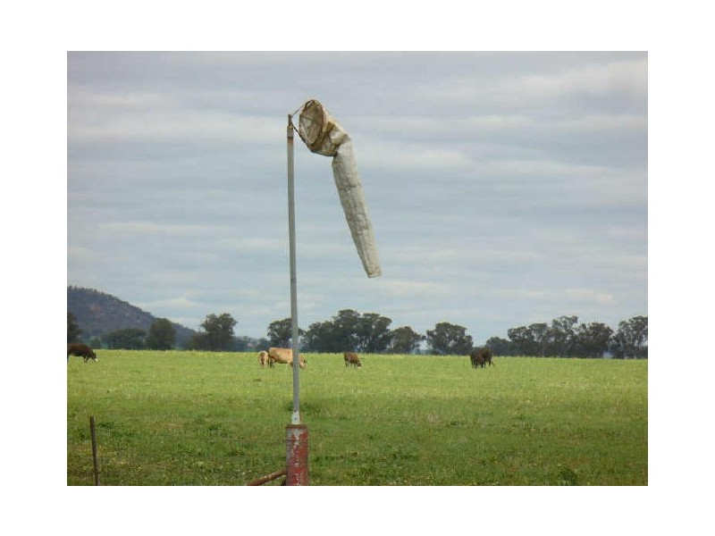 The Farm/158 Wongara Lane, Gooloogong NSW 2805