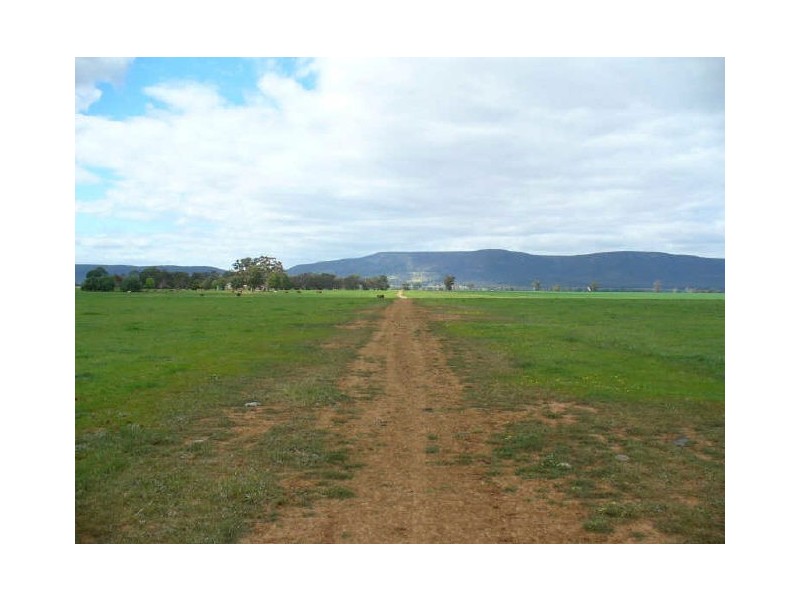 The Farm/158 Wongara Lane, Gooloogong NSW 2805