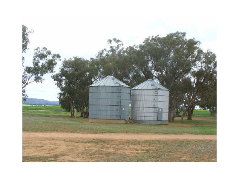 The Farm/158 Wongara Lane, Gooloogong NSW 2805