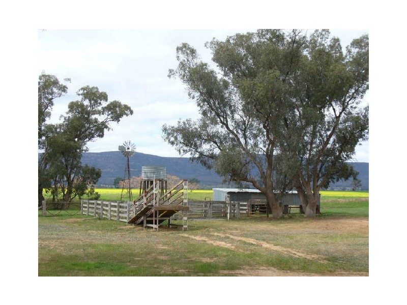 The Farm/158 Wongara Lane, Gooloogong NSW 2805