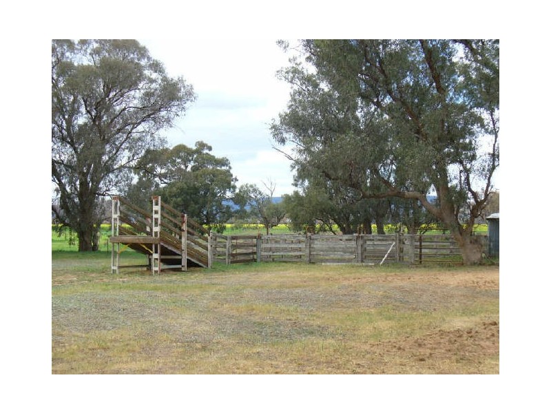 The Farm/158 Wongara Lane, Gooloogong NSW 2805