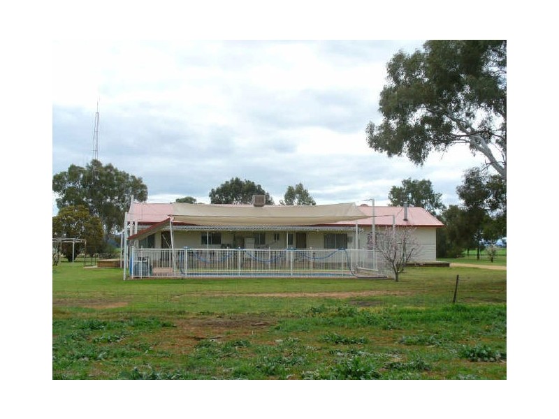 The Farm/158 Wongara Lane, Gooloogong NSW 2805