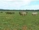 The Farm/158 Wongara Lane, Gooloogong NSW 2805