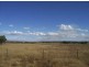 538 Darby’s Falls Rd, Cowra NSW 2794