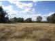 538 Darby’s Falls Rd, Cowra NSW 2794