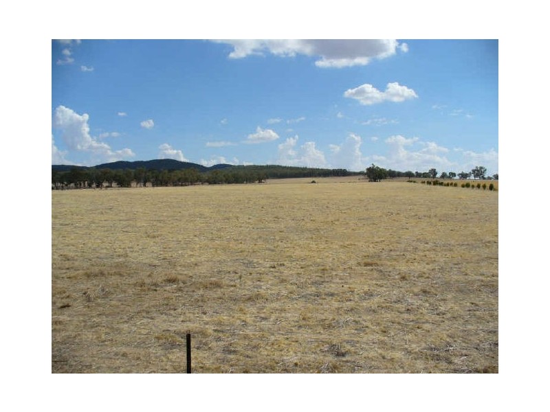 Lot 1 Boorowa Street, Koorawatha NSW 2807