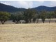 Lot 1 Boorowa Street, Koorawatha NSW 2807