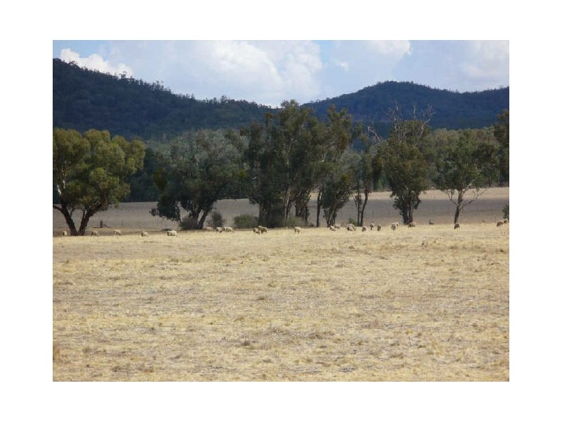 Lot 1 Boorowa Street, Koorawatha NSW 2807
