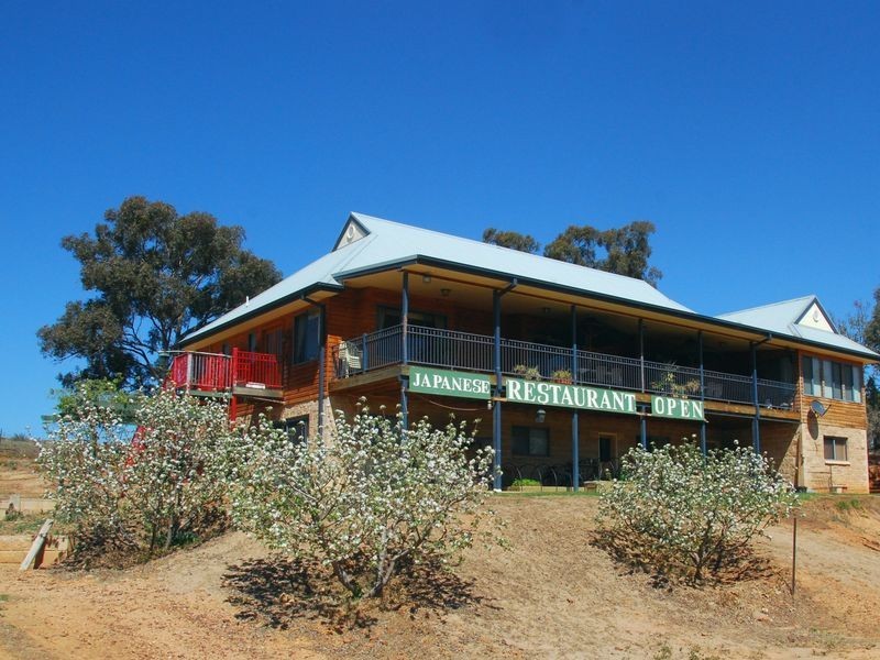 Blue Gum Anderson Lane, Cowra NSW 2794