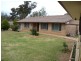 Blue Gum Anderson Lane, Cowra NSW 2794