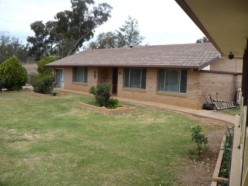 Blue Gum Anderson Lane, Cowra NSW 2794