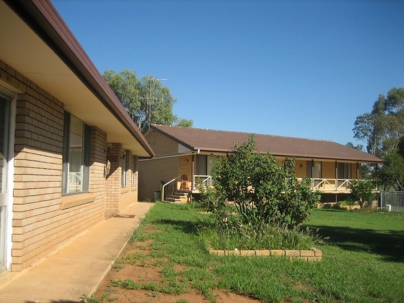 Blue Gum Anderson Lane, Cowra NSW 2794