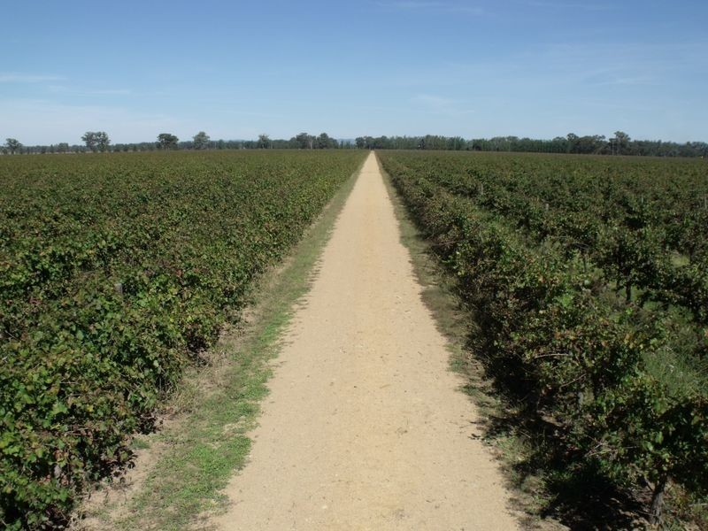 605 Mid Western Highway, Cowra NSW 2794