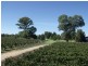 605 Mid Western Highway, Cowra NSW 2794
