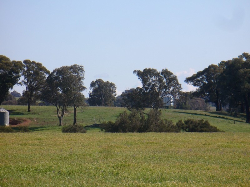 Middle Creek Road, Cowra NSW 2794
